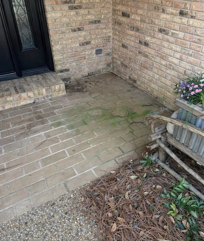 Before: front entry cleaning on brick pavers with green growth removed