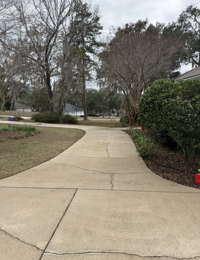 After: residential driveway cleaning by NJ WashWorks on a curved, tree-lined concrete driveway