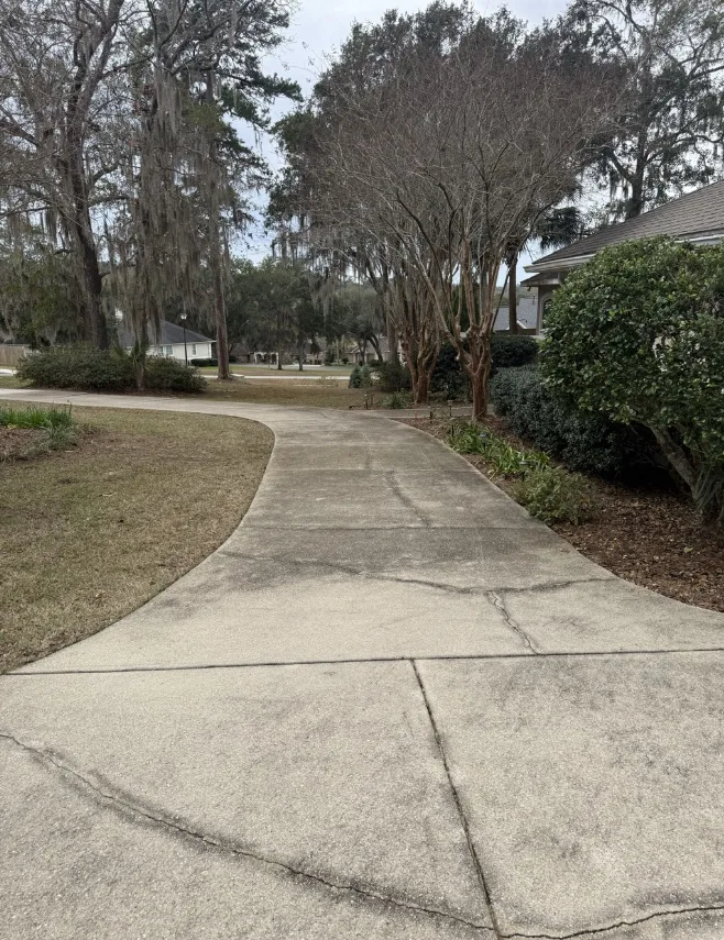 Before: residential driveway cleaning by NJ WashWorks on a curved, tree-lined concrete driveway