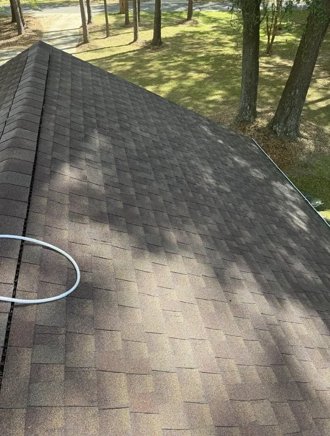 After: roof washing on asphalt shingles with dark organic buildup removed