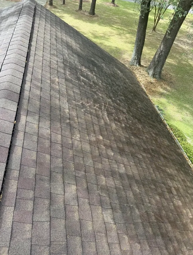 Before: roof washing on asphalt shingles with dark organic buildup removed