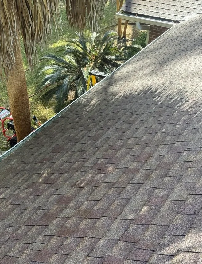 After: roof washing on asphalt shingles with dark organic buildup removed