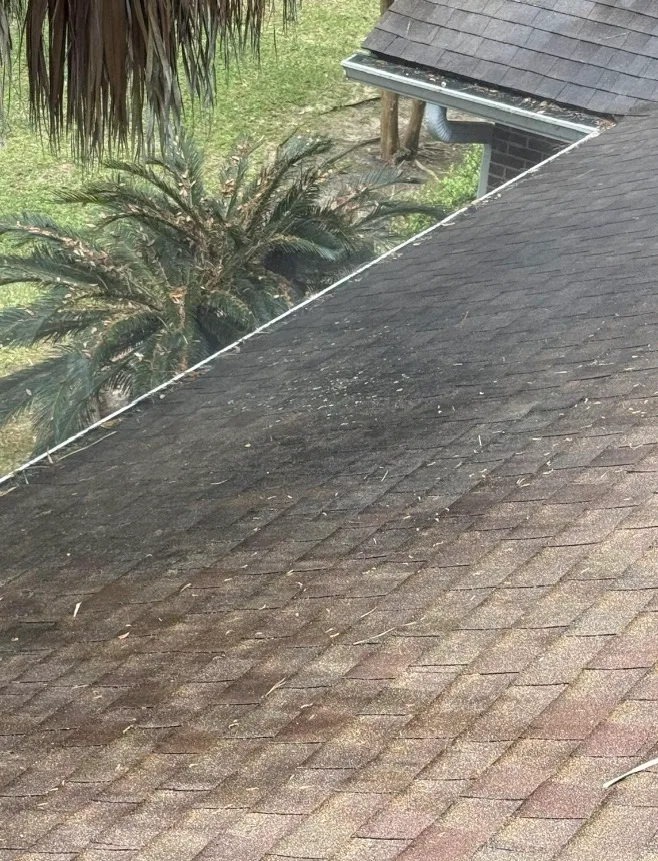 Before: roof washing on asphalt shingles with dark organic buildup removed