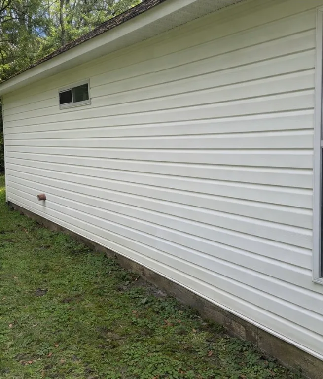 After: house washing on white vinyl siding with green organic growth removed