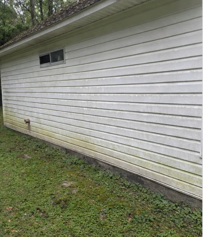 Before: house washing on white vinyl siding with green organic growth removed