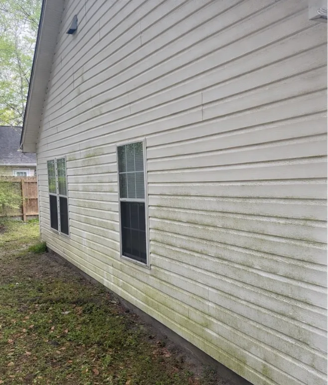 Before: house washing on white vinyl siding with green organic growth removed